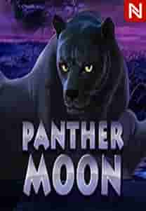 PANTHER MOON