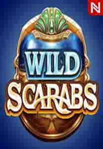 Wild Scarabs