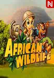 African Wildlife